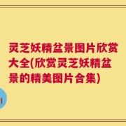 灵芝妖精盆景图片欣赏大全(欣赏灵芝妖精盆景的精美图片合集)