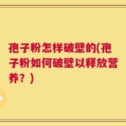 孢子粉怎样破壁的(孢子粉如何破壁以释放营养？)