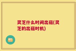 灵芝什么时间出菇(灵芝的出菇时机)
