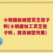 小钢磨能破壁灵芝孢子粉(小钢磨加工灵芝孢子粉，提高破壁效果)