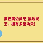 黑色黄边灵芝(黑边灵芝，拥有多重功效)