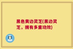 黑色黄边灵芝(黑边灵芝，拥有多重功效)