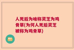 人死后为啥称灵芝为鸡骨草(为何人死后灵芝被称为鸡骨草)