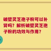 破壁灵芝孢子粉可以补肾吗？解析破壁灵芝孢子粉的功效与作用？
