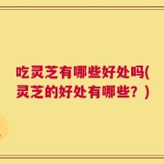 吃灵芝有哪些好处吗(灵芝的好处有哪些？)