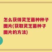 怎么获得灵芝菌种种子图片(获取灵芝菌种子图片的方法)