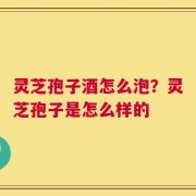 灵芝孢子酒怎么泡？灵芝孢子是怎么样的