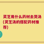灵芝用什么药材去煲汤(灵芝汤的搭配药材推荐)