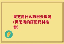 灵芝用什么药材去煲汤(灵芝汤的搭配药材推荐)