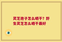 灵芝孢子怎么晒干？野生灵芝怎么晒干最好
