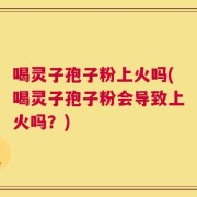 喝灵子孢子粉上火吗(喝灵子孢子粉会导致上火吗？)
