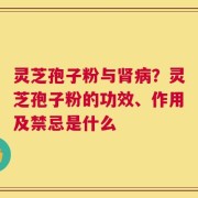 灵芝孢子粉与肾病？灵芝孢子粉的功效、作用及禁忌是什么