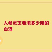 人参灵芝要泡多少度的白酒