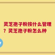 灵芝孢子粉按什么管理？灵芝孢子粉怎么种