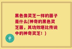 黑色像灵芝一样的菌子是什么(神奇的黑色灵芝菌，其功效堪比传说中的神奇灵芝！)