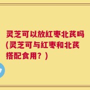 灵芝可以放红枣北芪吗(灵芝可与红枣和北芪搭配食用？)