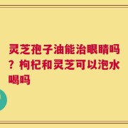 灵芝孢子油能治眼睛吗？枸杞和灵芝可以泡水喝吗