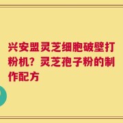 兴安盟灵芝细胞破壁打粉机？灵芝孢子粉的制作配方