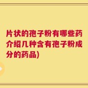 片状的孢子粉有哪些药介绍几种含有孢子粉成分的药品)