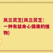 凤兰灵芝(凤兰灵芝：一种有益身心健康的植物)