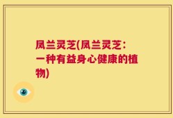 凤兰灵芝(凤兰灵芝：一种有益身心健康的植物)