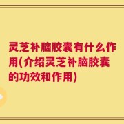 灵芝补脑胶囊有什么作用(介绍灵芝补脑胶囊的功效和作用)