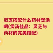 灵芝搭配什么药材煲汤喝(煲汤佳品：灵芝与药材的完美搭配)