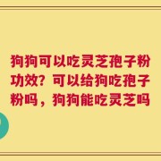 狗狗可以吃灵芝孢子粉功效？可以给狗吃孢子粉吗，狗狗能吃灵芝吗
