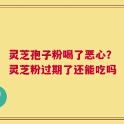 灵芝孢子粉喝了恶心？灵芝粉过期了还能吃吗