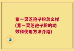 紫一灵芝孢子粉怎么样(紫一灵芝孢子粉的功效和使用方法介绍)