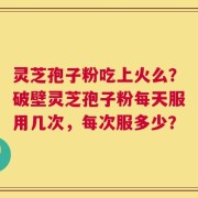 灵芝孢子粉吃上火么？破壁灵芝孢子粉每天服用几次，每次服多少？
