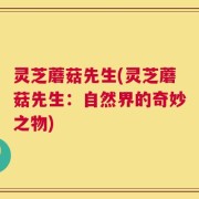 灵芝蘑菇先生(灵芝蘑菇先生：自然界的奇妙之物)