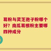 葛粉与灵芝孢子粉哪个好？南瓜葛根粉主要哪四种成分
