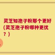 灵芝知孢子粉那个更好(灵芝孢子粉哪种更优？)