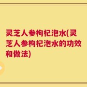 灵芝人参枸杞泡水(灵芝人参枸杞泡水的功效和做法)