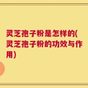 灵芝孢子粉是怎样的(灵芝孢子粉的功效与作用)