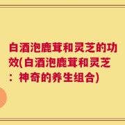 白酒泡鹿茸和灵芝的功效(白酒泡鹿茸和灵芝：神奇的养生组合)