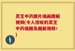 灵芝中药图片插画图解视频(令人惊叹的灵芝中药插图及图解视频！)