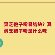 灵芝孢子粉易结块？真灵芝孢子粉是什么味