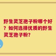 野生灵芝孢子粉哪个好？如何选择优质的野生灵芝孢子粉？
