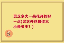 灵芝多大一朵花开的好一点(灵芝开花最佳大小是多少？)