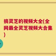 摘灵芝的视频大全(全网最全灵芝视频大合集)