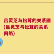 吕灵芝与松茸的关系图(吕灵芝与松茸的关系网络)