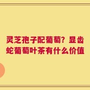 灵芝孢子配葡萄？显齿蛇葡萄叶茶有什么价值