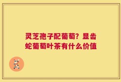 灵芝孢子配葡萄？显齿蛇葡萄叶茶有什么价值