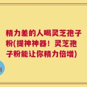 精力差的人喝灵芝孢子粉(提神神器！灵芝孢子粉能让你精力倍增)