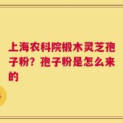 上海农科院椴木灵芝孢子粉？孢子粉是怎么来的
