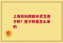 上海农科院椴木灵芝孢子粉？孢子粉是怎么来的