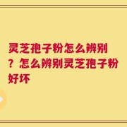 灵芝孢子粉怎么辨别 ？怎么辨别灵芝孢子粉好坏