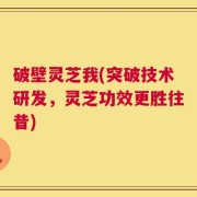 破壁灵芝我(突破技术研发，灵芝功效更胜往昔)
